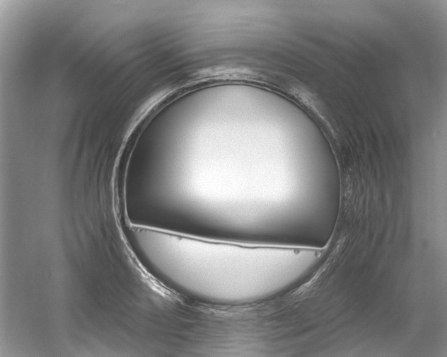 X0000061111082200511180928