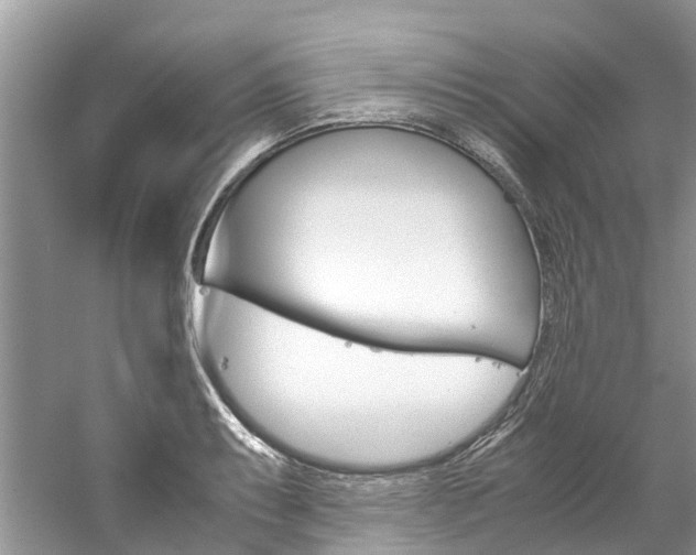 X0000061111087200511180928