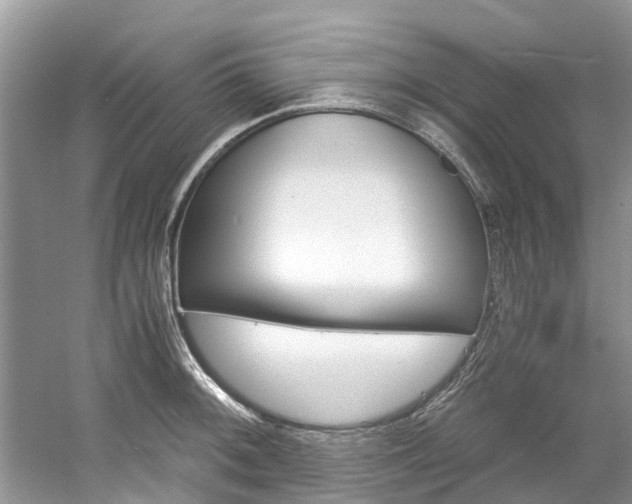 X0000061111092200511180928