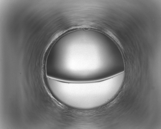 X0000061111093200511180928