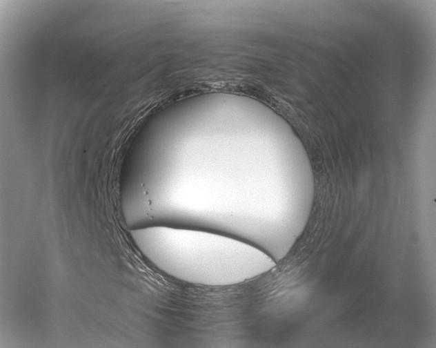 X0000061111105200511180927