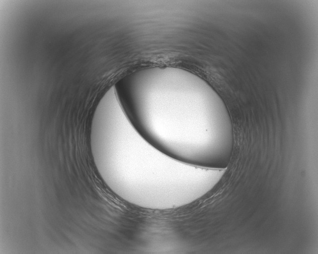 X0000061111106200511180927