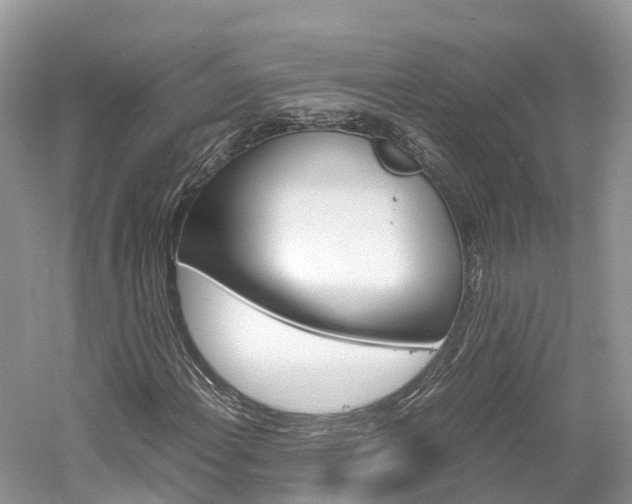X0000061111108200511180927