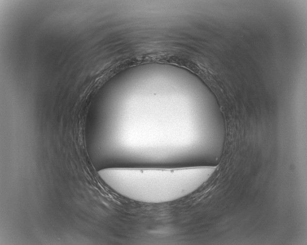 X0000061111109200511180927