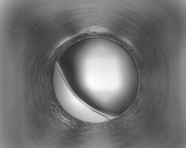 X0000061111112200511180927