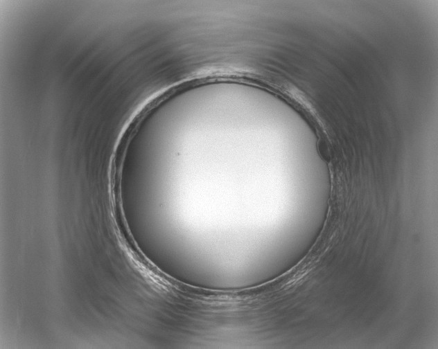 X0000061111124200511180927