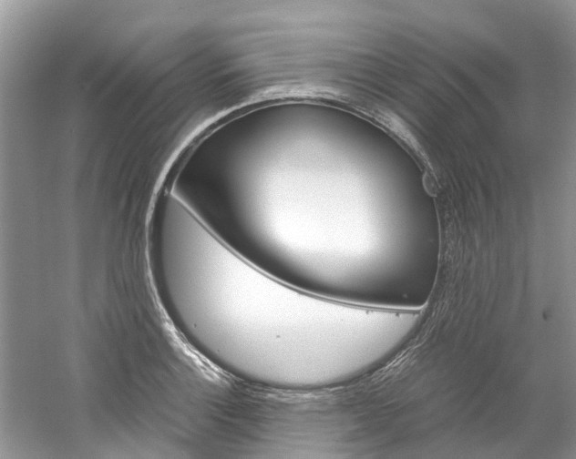 X0000061111132200511180927