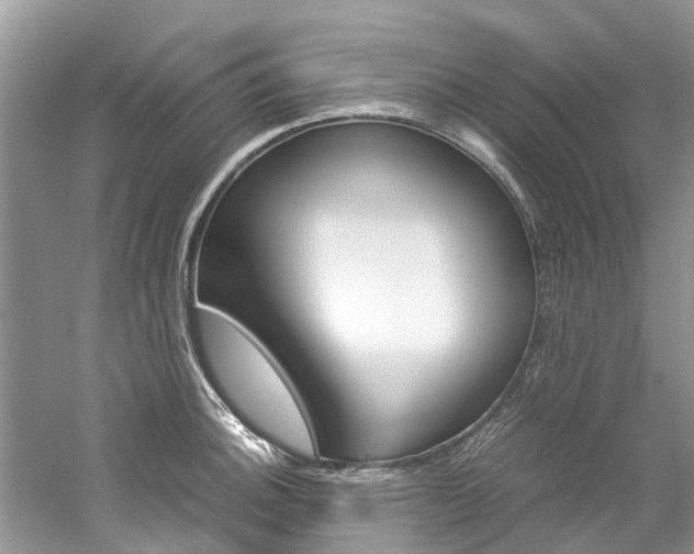 X0000061111140200511180927