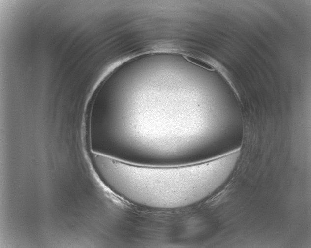 X0000061111147200511180927