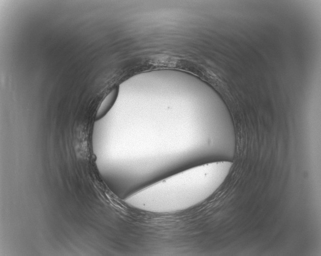 X0000061111154200511180927