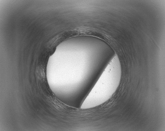 X0000061111155200511180927