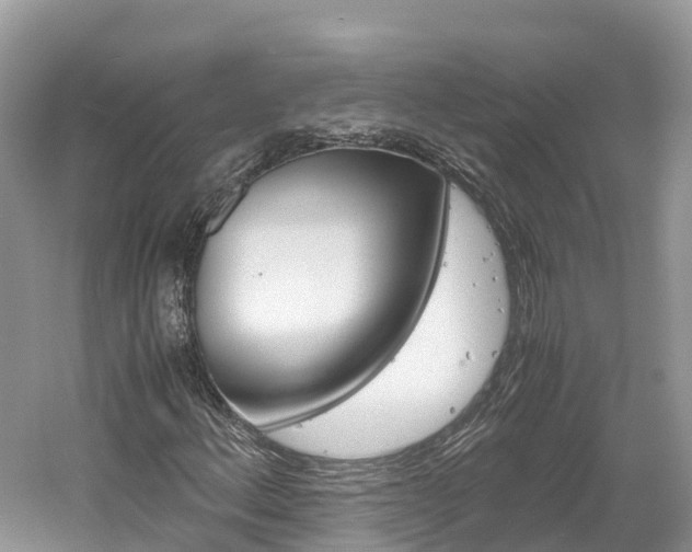 X0000061111156200511180927