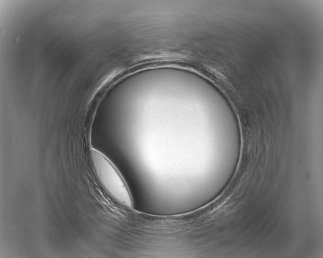 X0000061111163200511180926