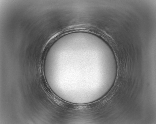 X0000061111166200511180926