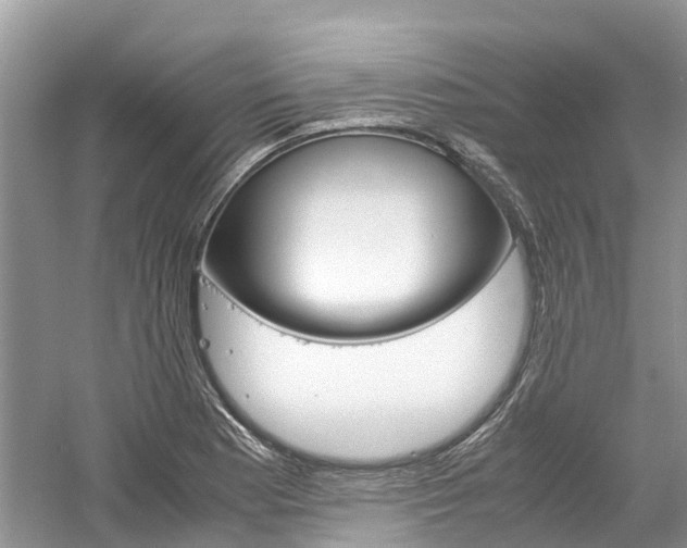 X0000061111177200511180926