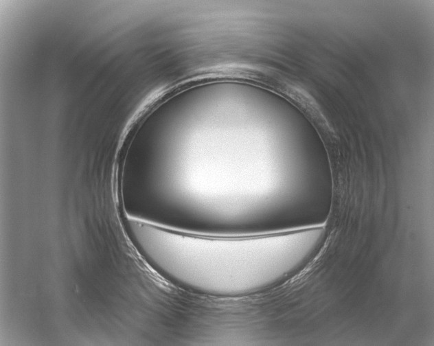 X0000061111180200511180926