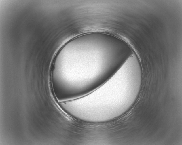 X0000061111187200511180926