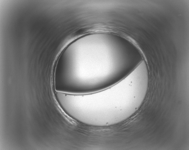 X0000061111195200511180926