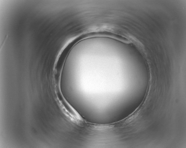 X0000061111200200511180926