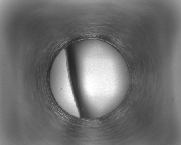 X0000061111201200511180925