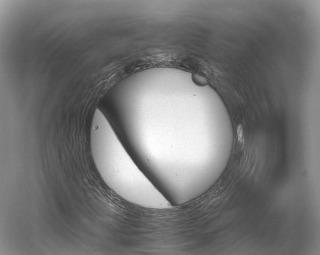 X0000061111203200511180925