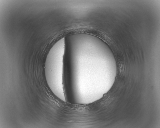 X0000061111204200511180925