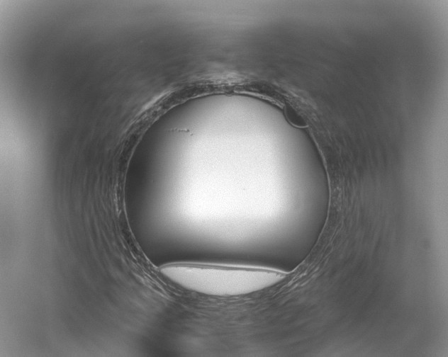 X0000061111205200511180925