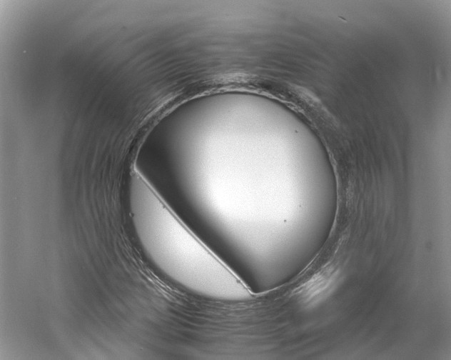 X0000061111209200511180925