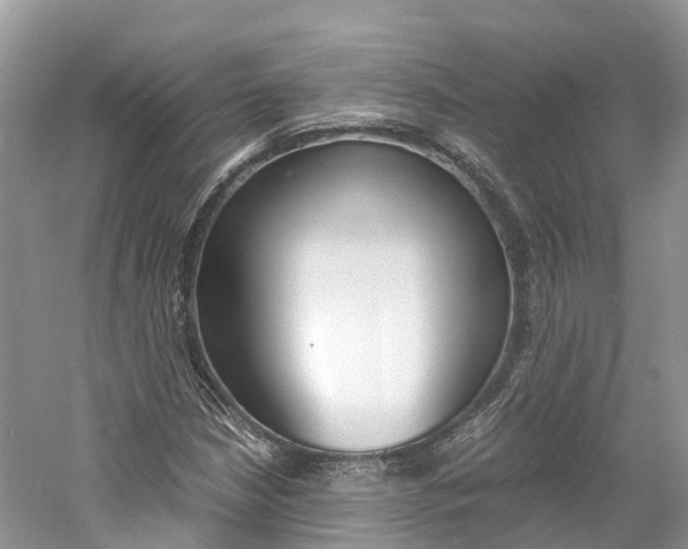 X0000061111210200511180925