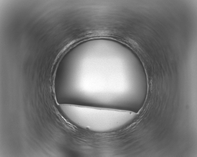 X0000061111212200511180925