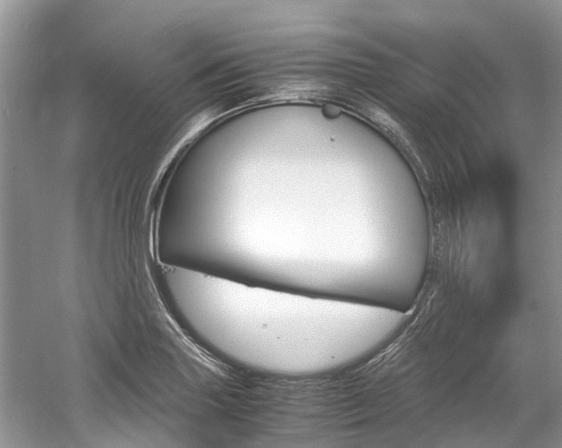 X0000061111227200511180925