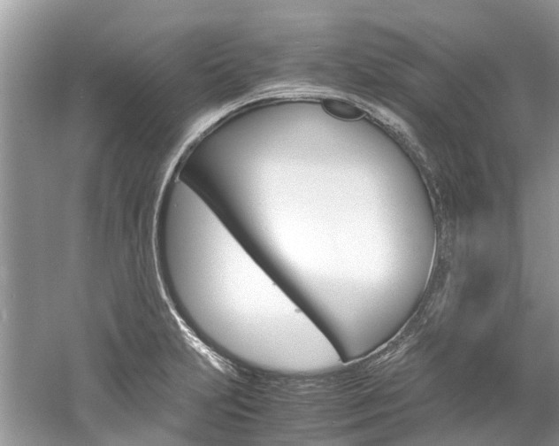 X0000061111231200511180926