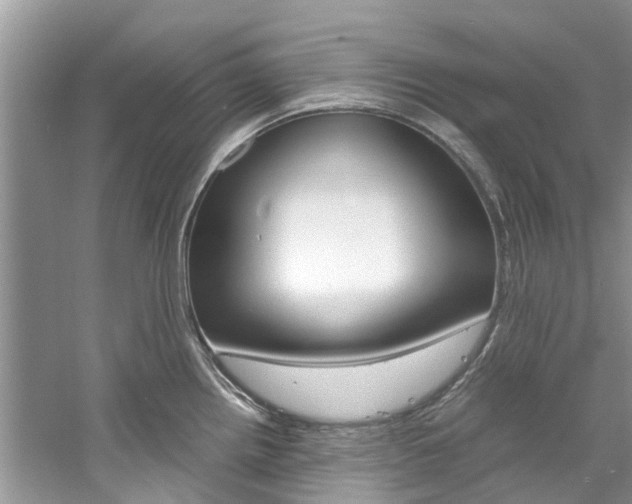 X0000061111242200511180926