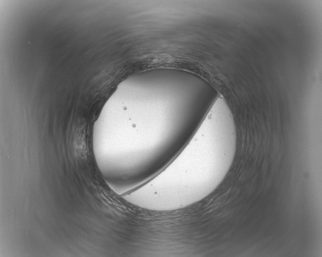X0000061111250200511180925