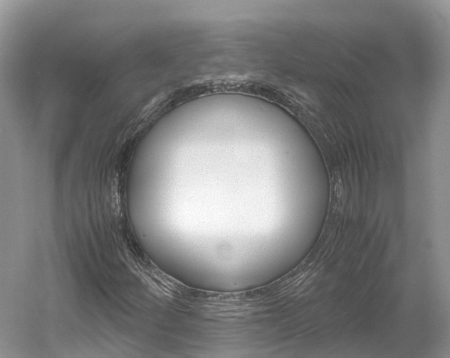 X0000061111252200511180925