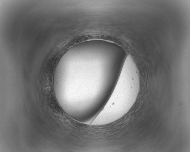 X0000061111253200511180925