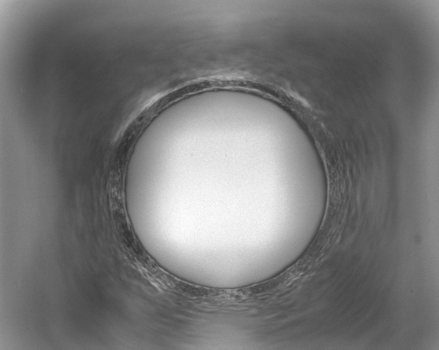 X0000061111255200511180925
