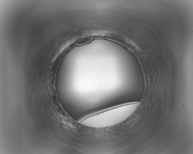 X0000061111256200511180925