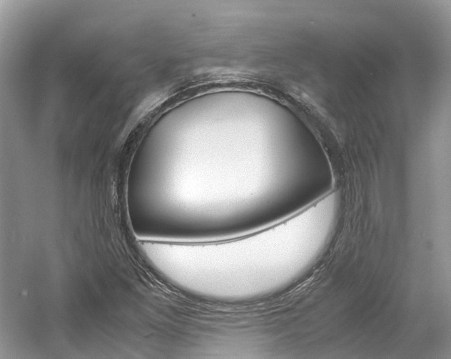 X0000061111261200511180925