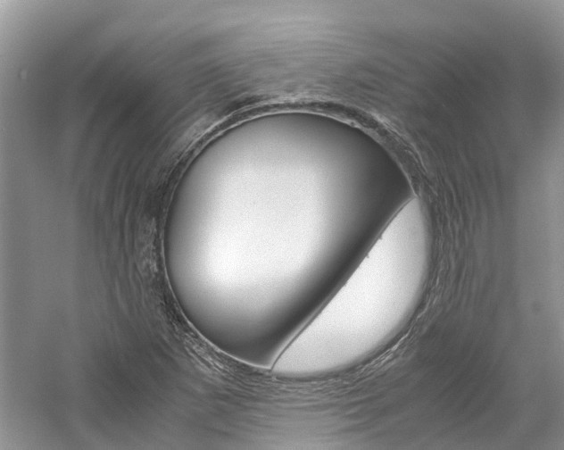 X0000061111265200511180925