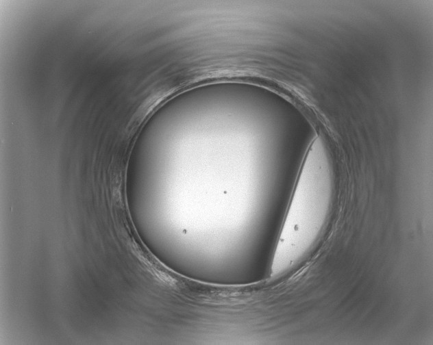 X0000061111273200511180925