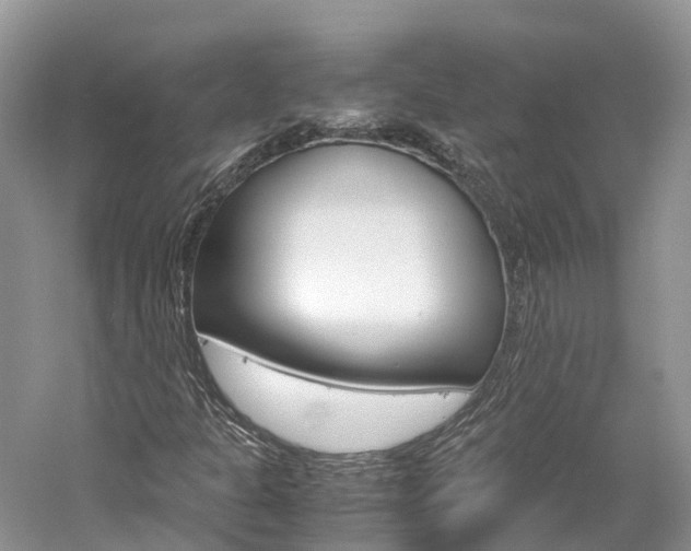X0000061111301200511180923