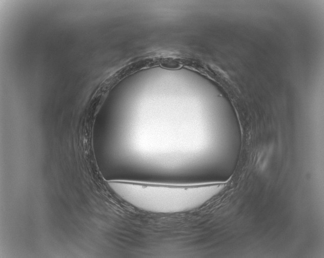 X0000061111303200511180924