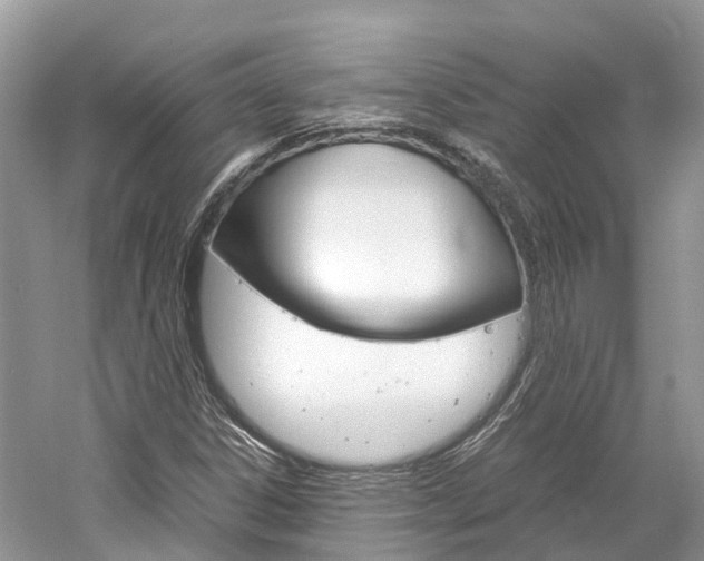 X0000061111306200511180924