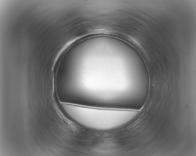X0000061111323200511180924