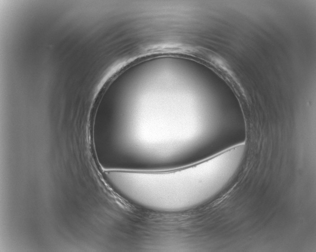 X0000061111328200511180924