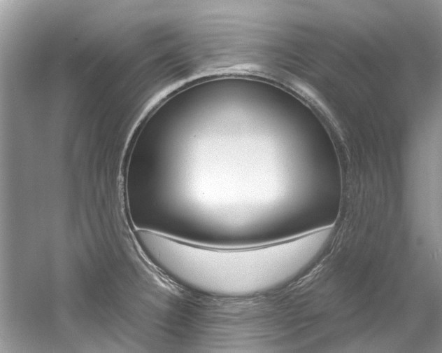X0000061111332200511180924