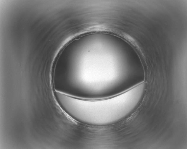 X0000061111334200511180924