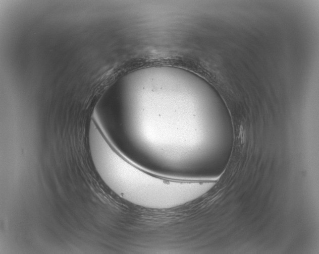X0000061111348200511180923