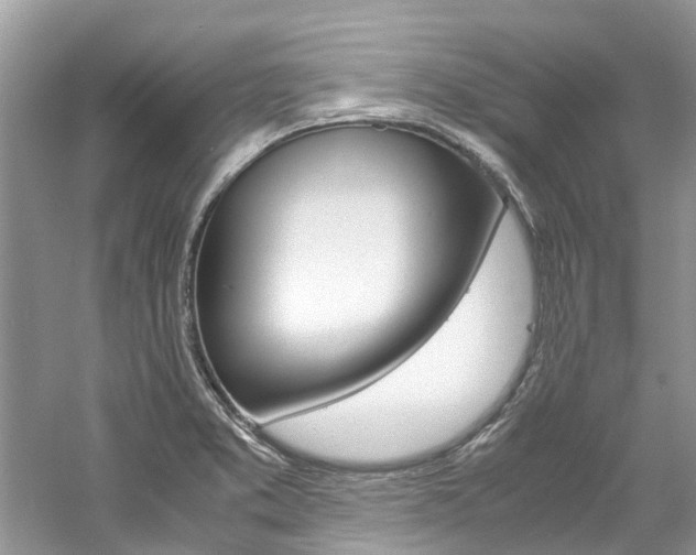 X0000061111373200511180923